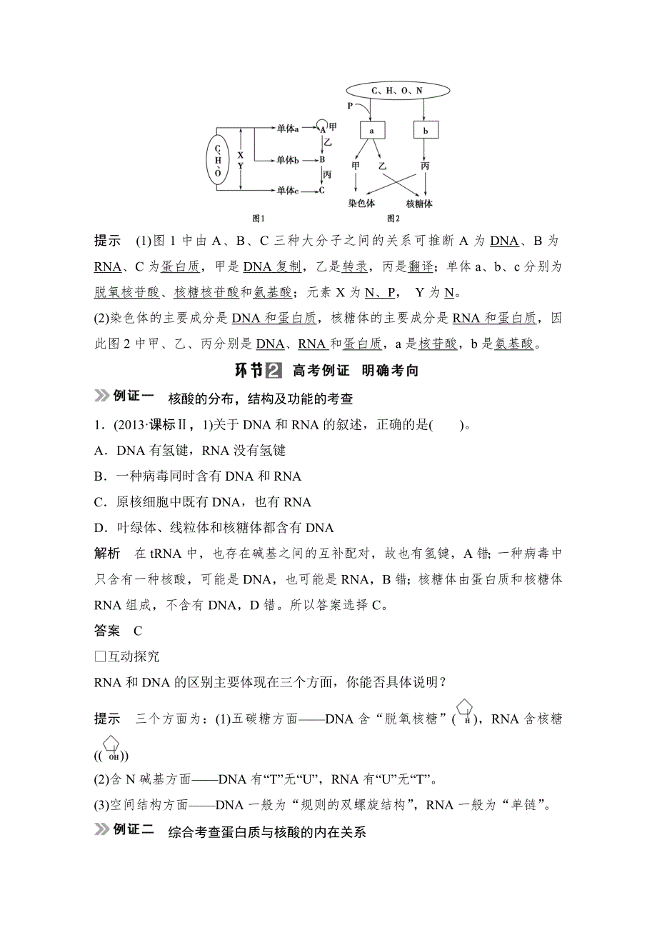 《创新设计》2015届高考生物（人教版）基础知识总复习：1-1-4 遗传信息的携带者——核酸 细胞中的糖类和脂质 考点1 核酸的结构和功能及与蛋白质的关系(5年10考) WORD版含答案.doc_第3页