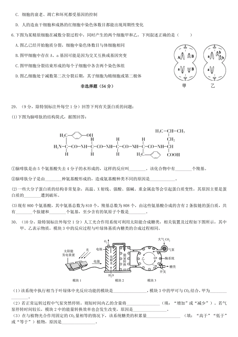 四川省射洪中学校2021届高三生物上学期第二次月考试题.doc_第2页