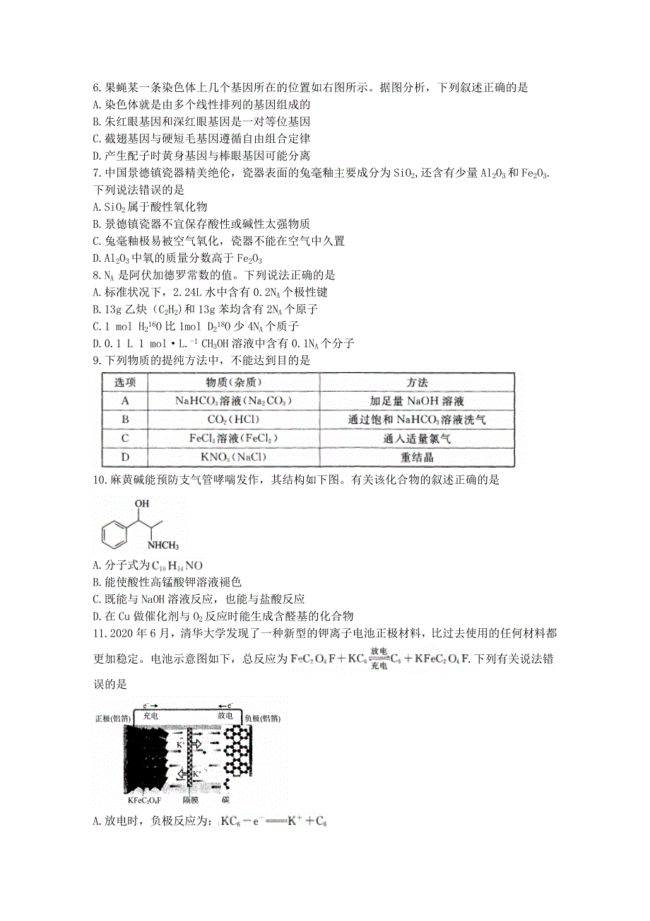 四川省射洪中学校2021届高三理综上学期期末考试试题.doc_第2页