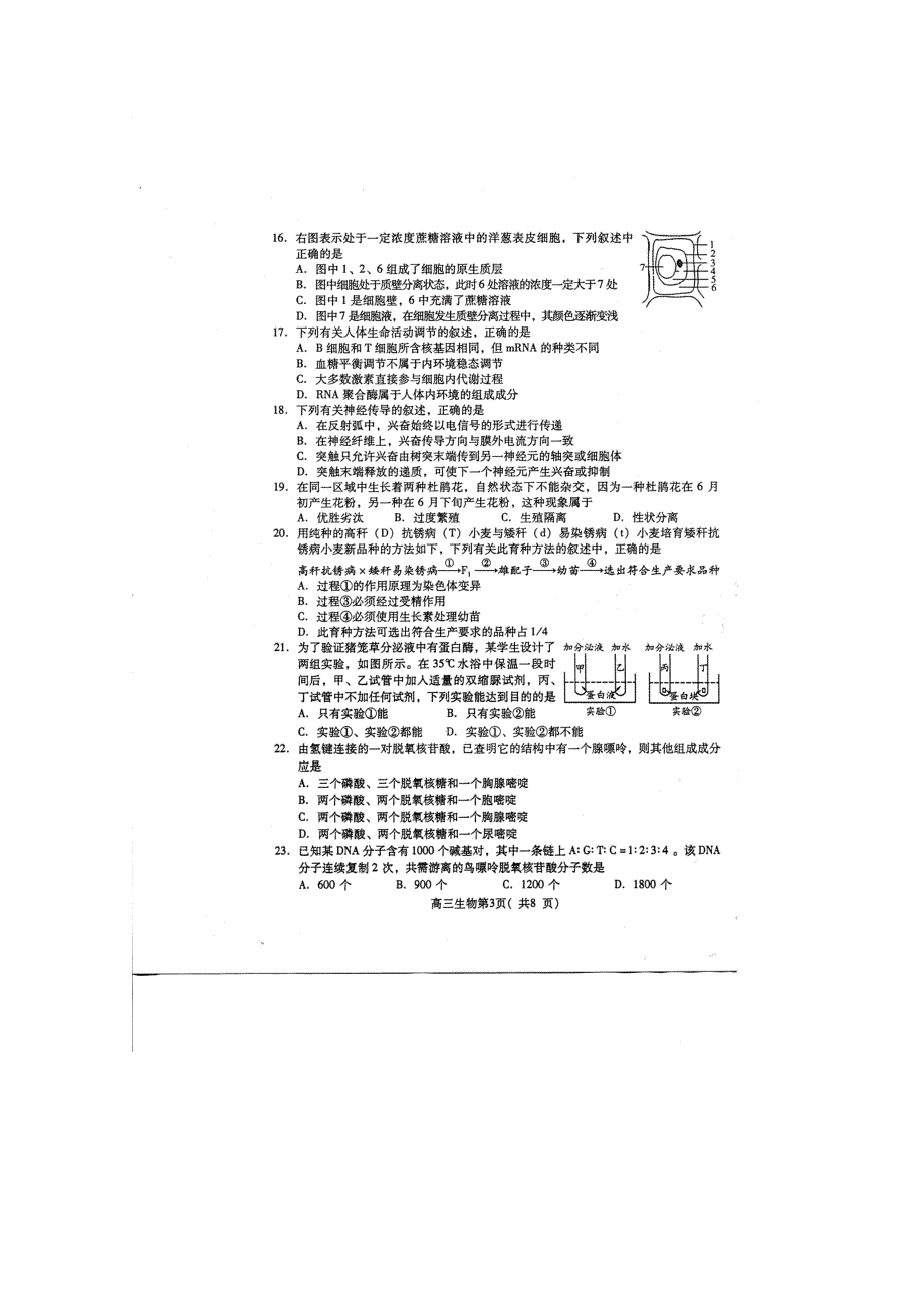 2011潍坊高三摸底考试生物（扫描版含答案）.doc_第3页