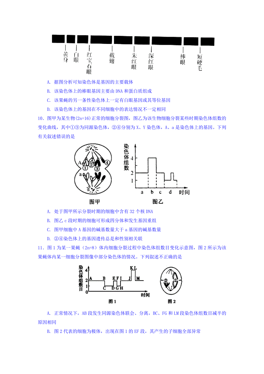 河南省林州市第一中学2017-2018学年高一5月月考生物试题 WORD版含答案.doc_第3页