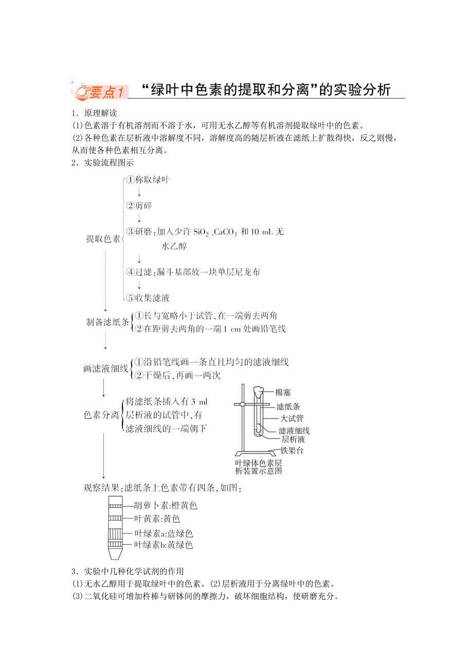 2011生物新课标复习课同步学案（必修一）：5-3能量之源----光和光合作用.doc_第1页