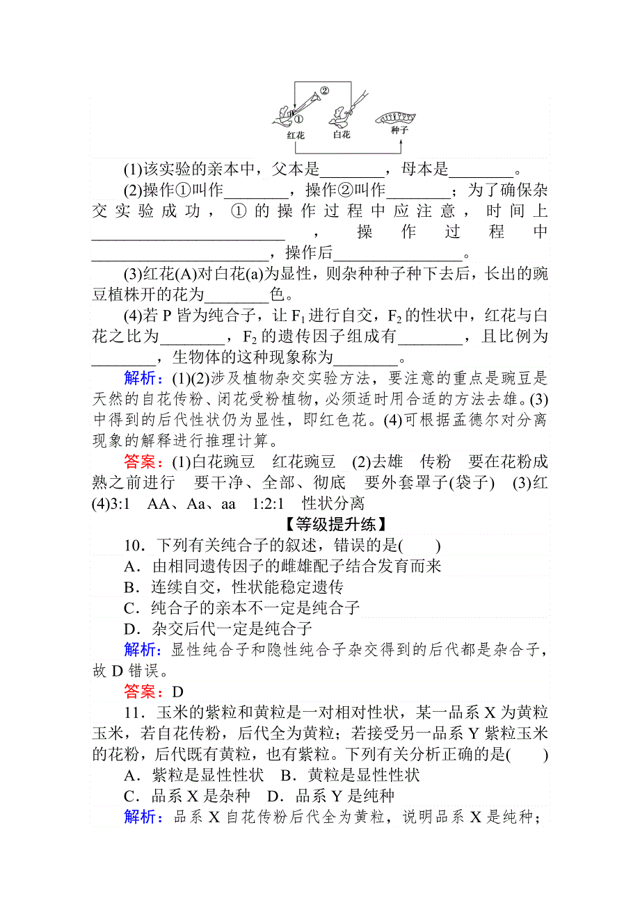 2020-2021人教版生物必修2作业：1-1-1 豌豆杂交实验过程及解释 WORD版含解析.doc_第3页