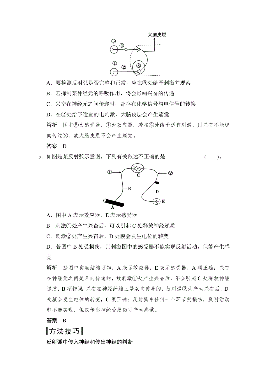 《创新设计》2015版生物二轮专题复习（江苏版）应用题组集训4-2-考点1 神经调节 .doc_第3页