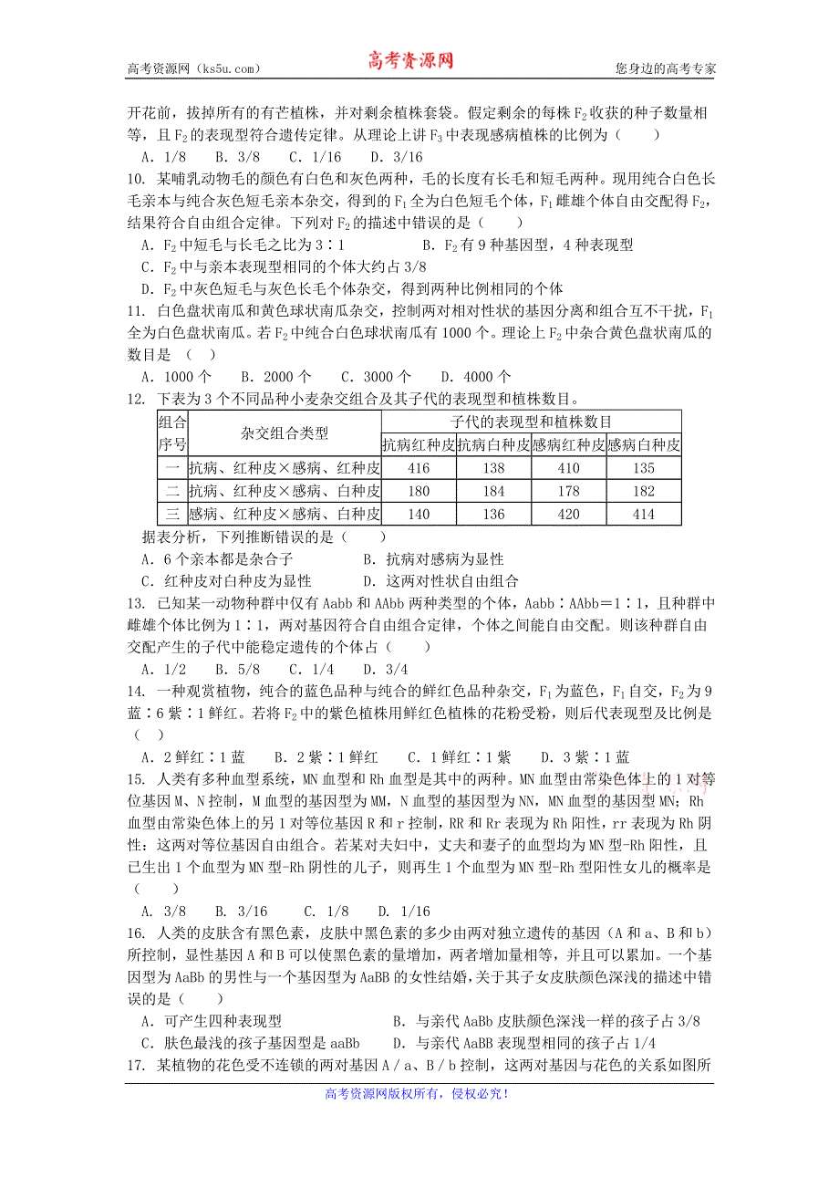 《名校推荐》河南省新乡市第一中学人教版高中生物必修二自我测评：1.2孟德尔的豌豆杂交实验（二） WORD版含答案.doc_第2页