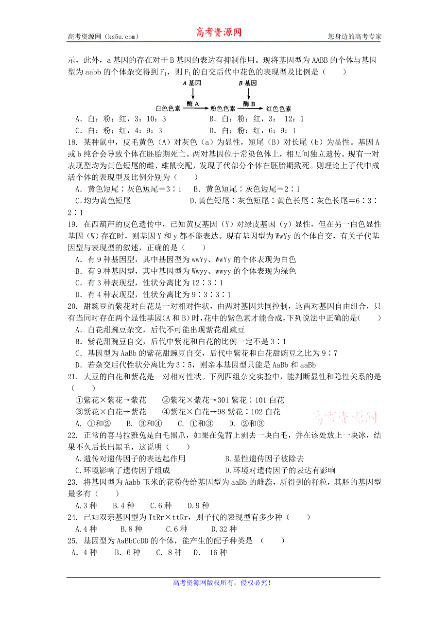 《名校推荐》河南省新乡市第一中学人教版高中生物必修二自我测评：1.2孟德尔的豌豆杂交实验（二） WORD版含答案.doc_第3页