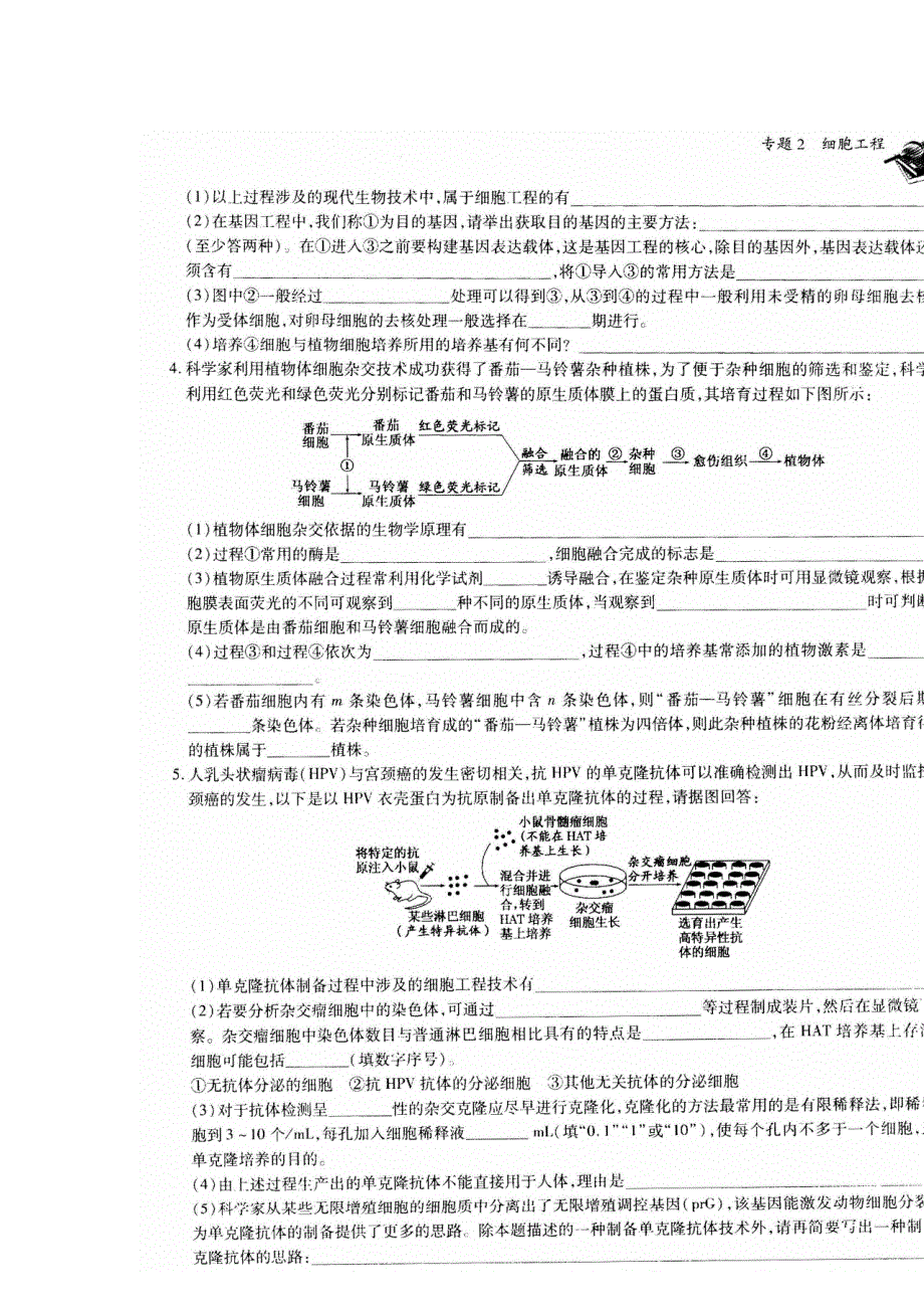 《名校推荐》河南省郑州一中2016-2017学年高二下学期生物选修3专题二《细胞工程》章末测试题 扫描版含答案.doc_第2页