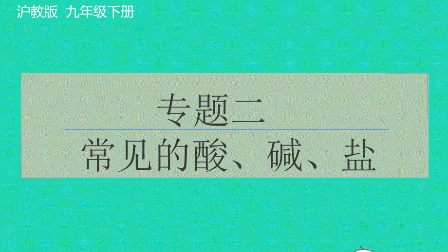 2022九年级化学下册 专题二 常见的酸、碱、盐习题课件 沪教版.pptx_第1页