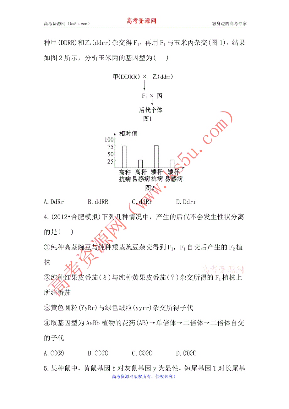 2013届高考一轮复习生物课时提能训练：孟德尔豌豆杂交实验二（人教版）.doc_第2页