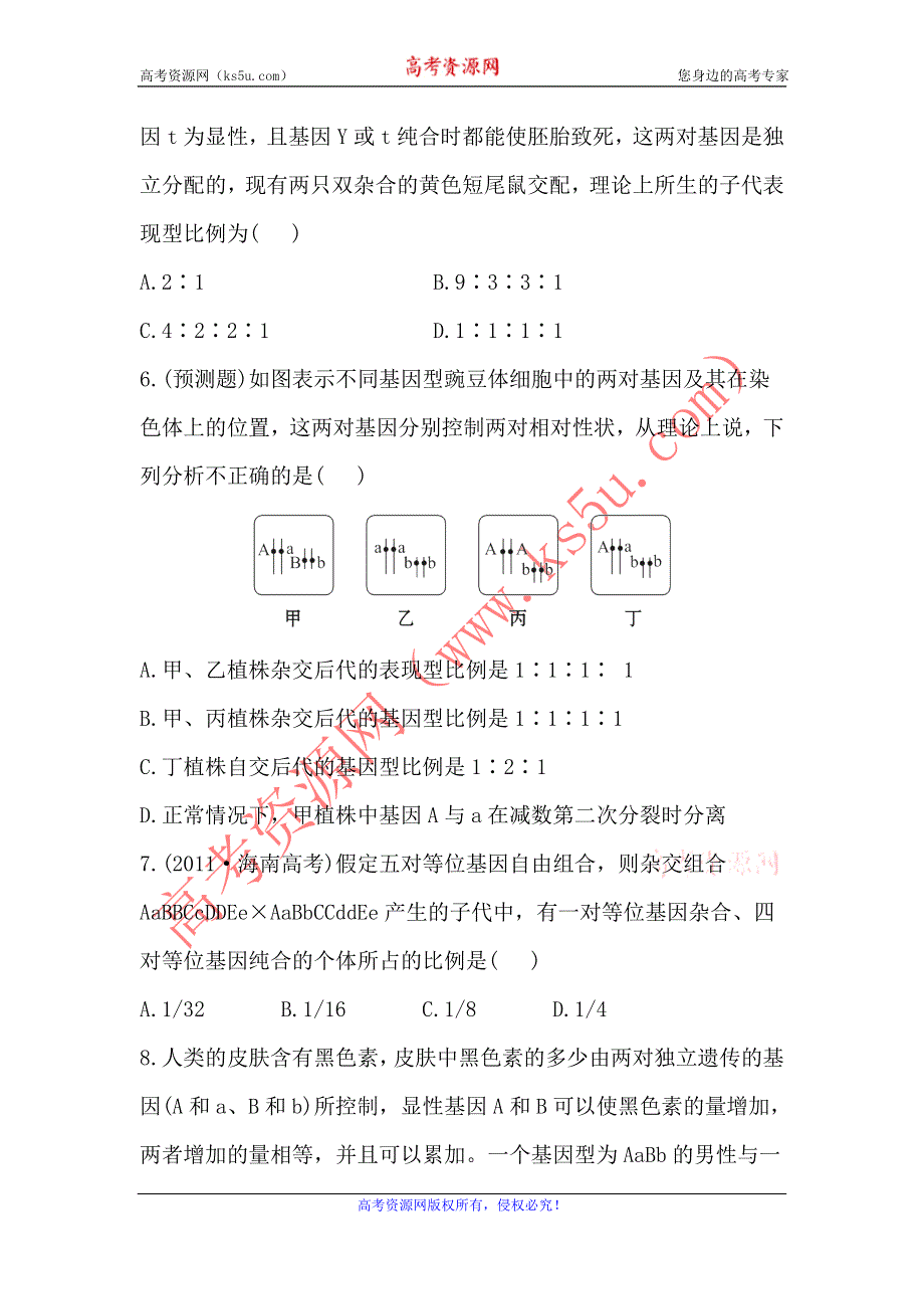 2013届高考一轮复习生物课时提能训练：孟德尔豌豆杂交实验二（人教版）.doc_第3页