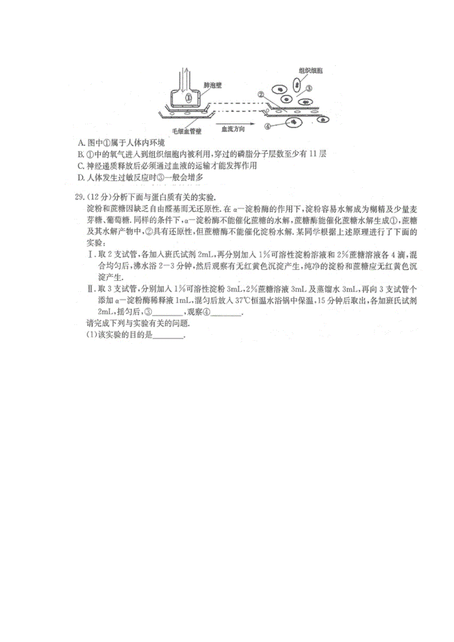 2015年普通高等学校招生全国统一考试新课标理科综合四生物试题 扫描版含答案.doc_第2页