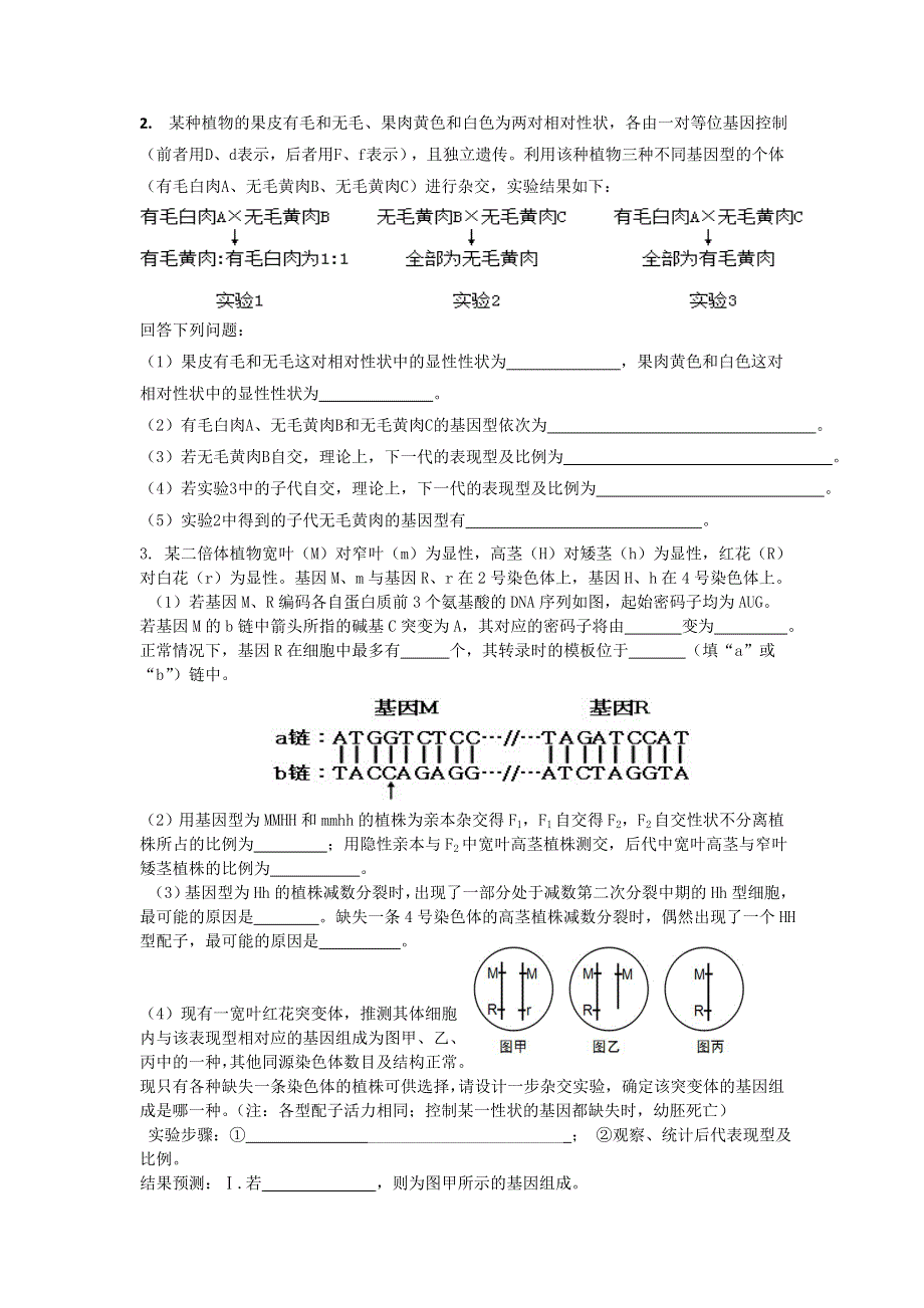 《名校推荐》河北省邢台市第二中学2017届高三二轮复习专题练习 遗传专题（一）遗传定律3 WORD版含答案.doc_第2页