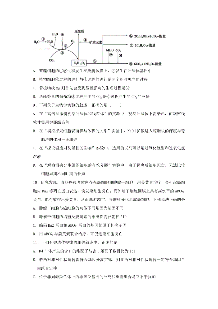 《名校推荐》河北省邢台市第二中学2017届高三二轮复习 生物必修一限时训练2 WORD版缺答案.doc_第3页