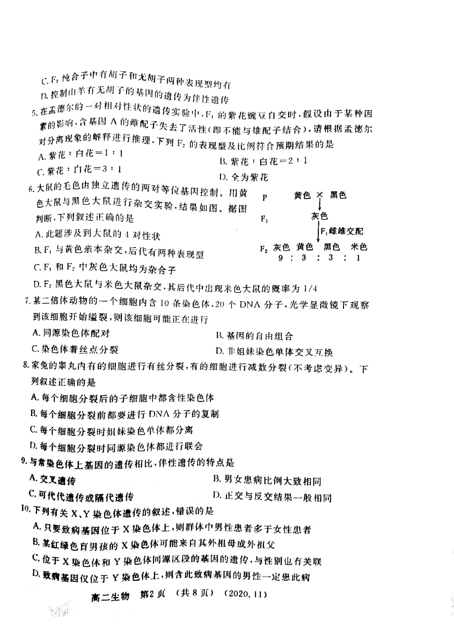 河南省洛阳市2020-2021学年高二上学期期中考试生物试题 扫描版含答案.pdf_第2页