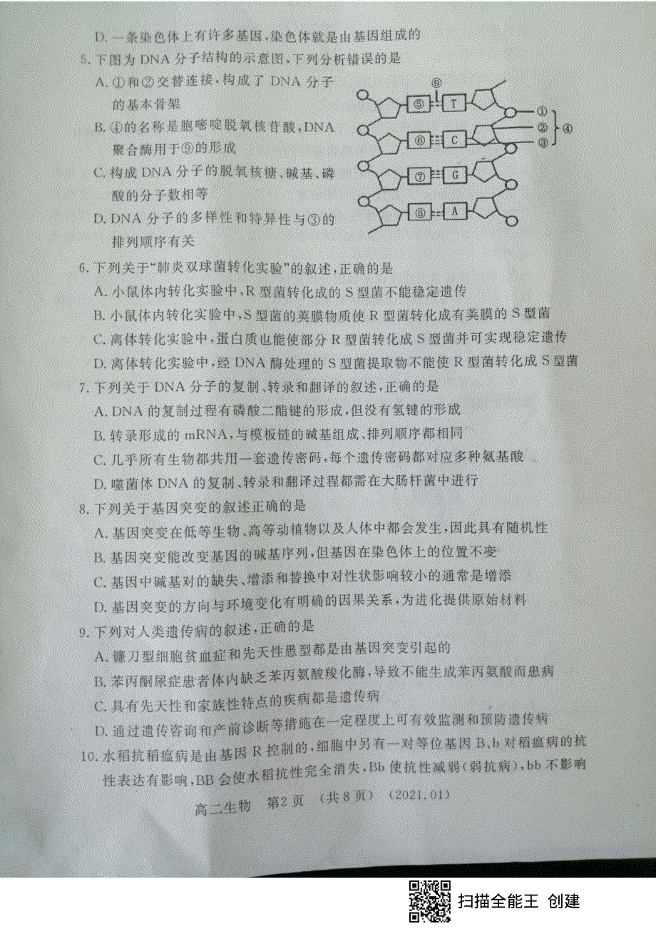 河南省洛阳市2020-2021学年高二上学期期末考试生物试题 扫描版含答案.pdf_第2页