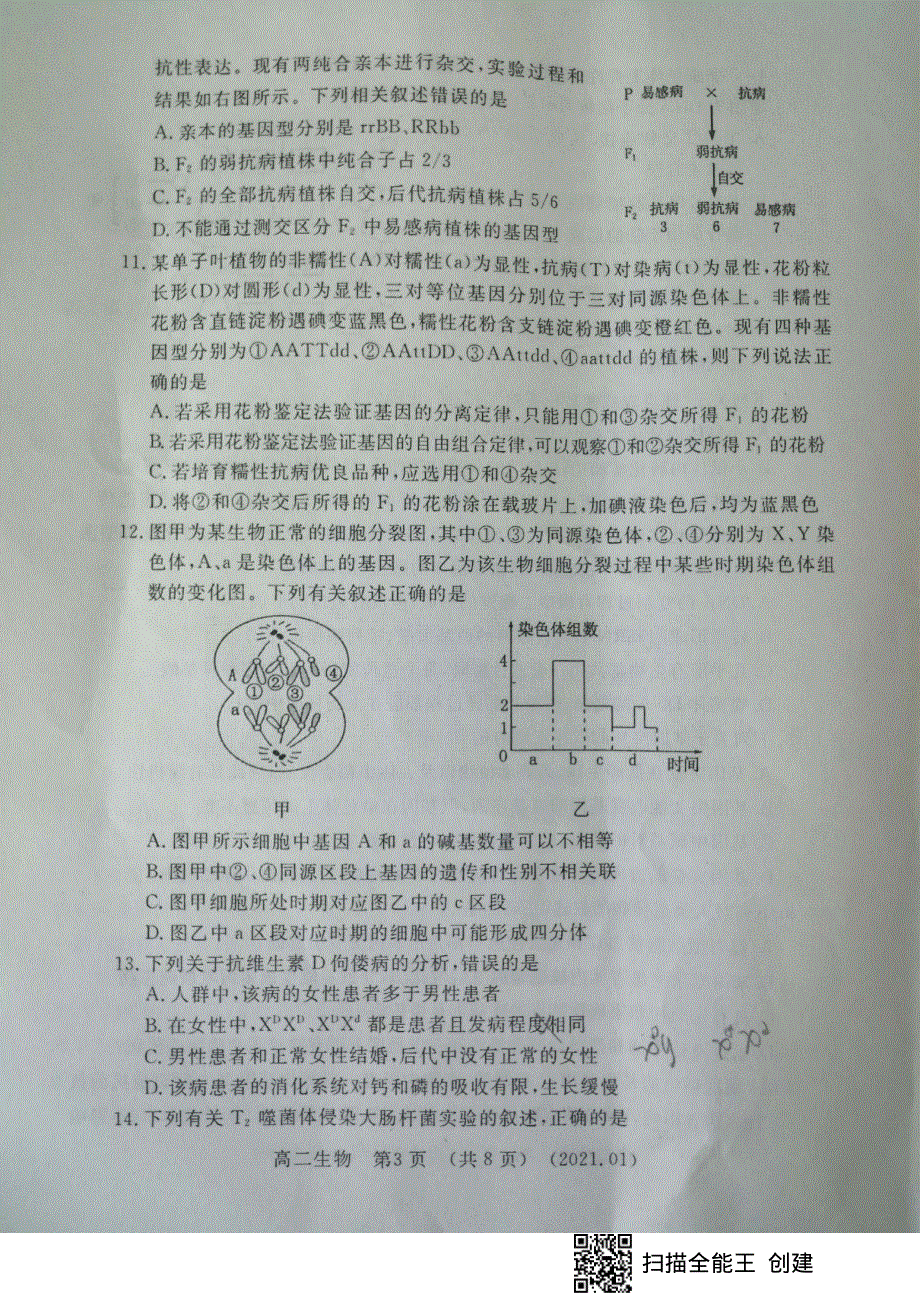 河南省洛阳市2020-2021学年高二上学期期末考试生物试题 扫描版含答案.pdf_第3页