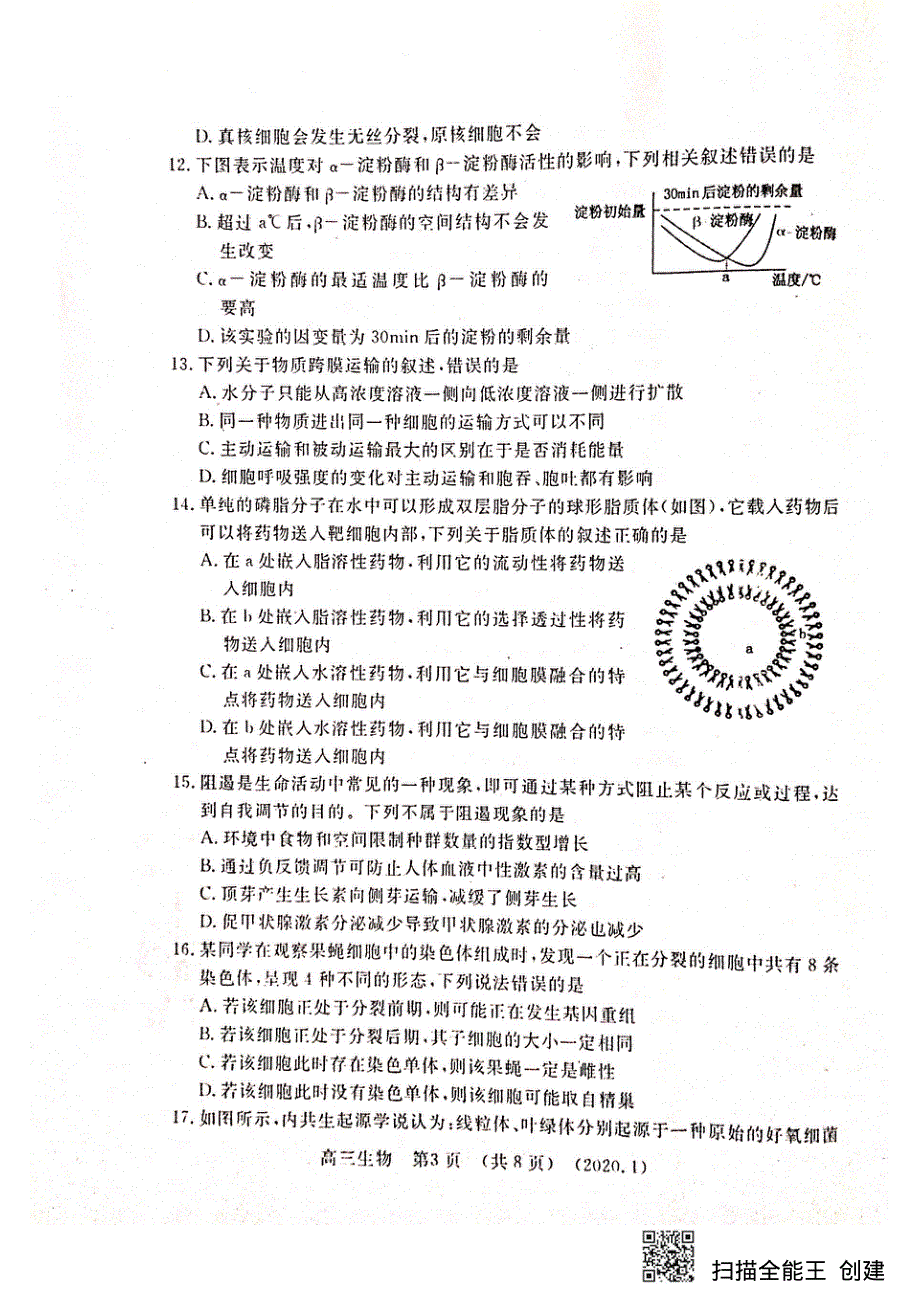 河南省洛阳市2020届高三上学期第一次统一考试（1月）生物试题 PDF版含答案.pdf_第3页