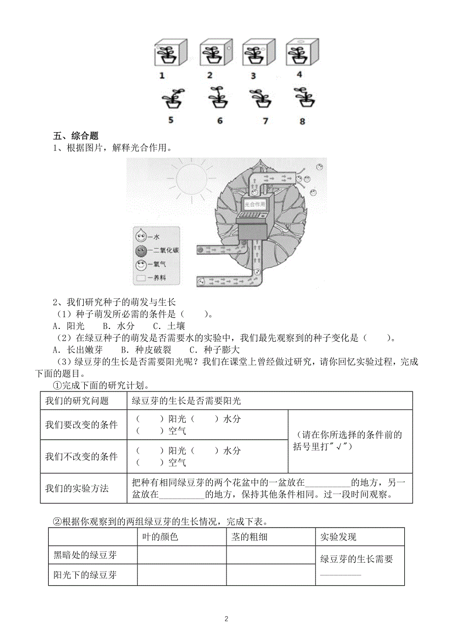 小学科学教科版五年级下册第一单元第3课《绿豆苗的生长》练习题3（附参考答案）（2022新版）.docx_第2页