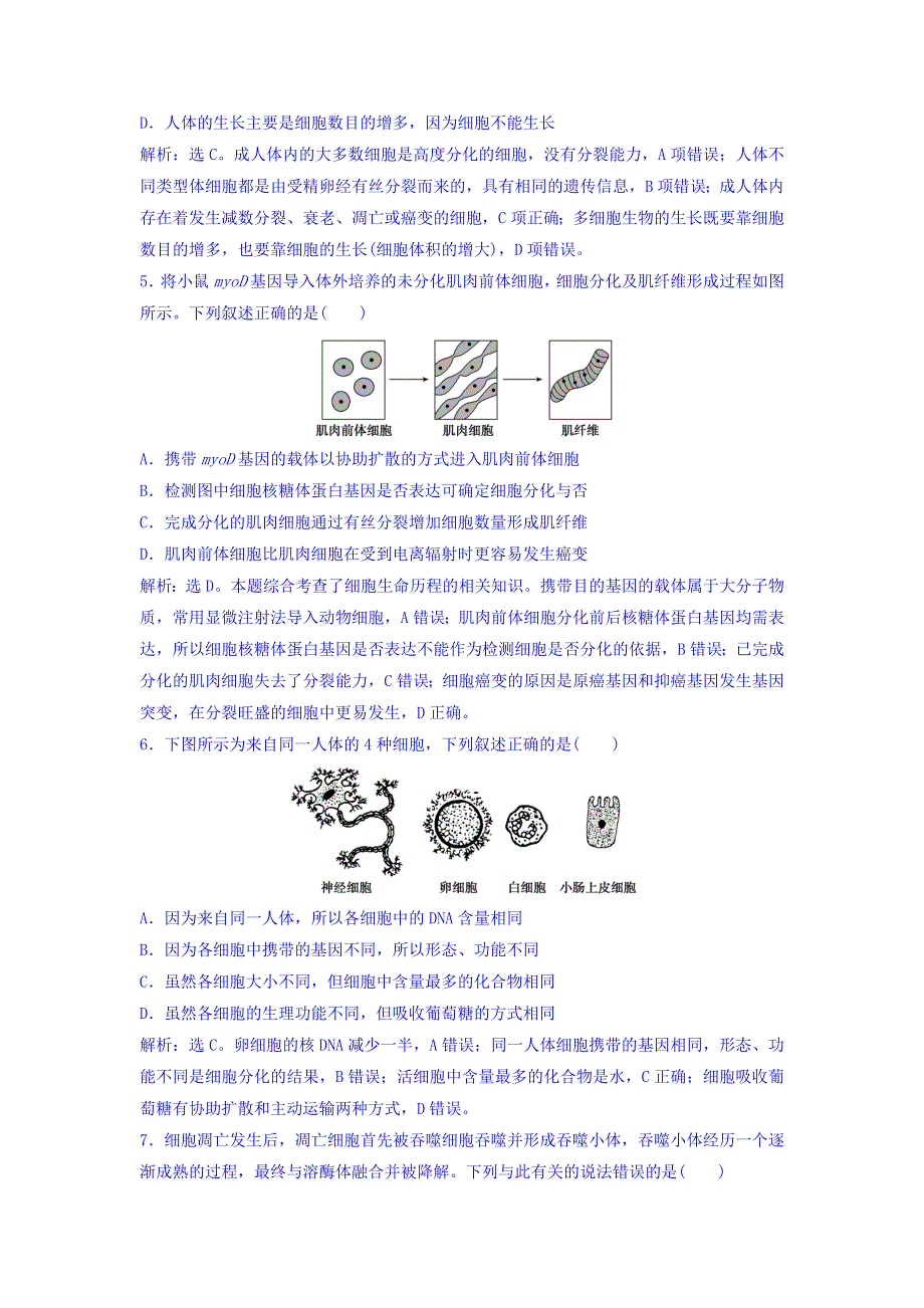 2018届高考生物（新课标）大一轮复习领航习题：第四单元 细胞的生命历程 4-3 课时规范训练 WORD版含答案.doc_第2页