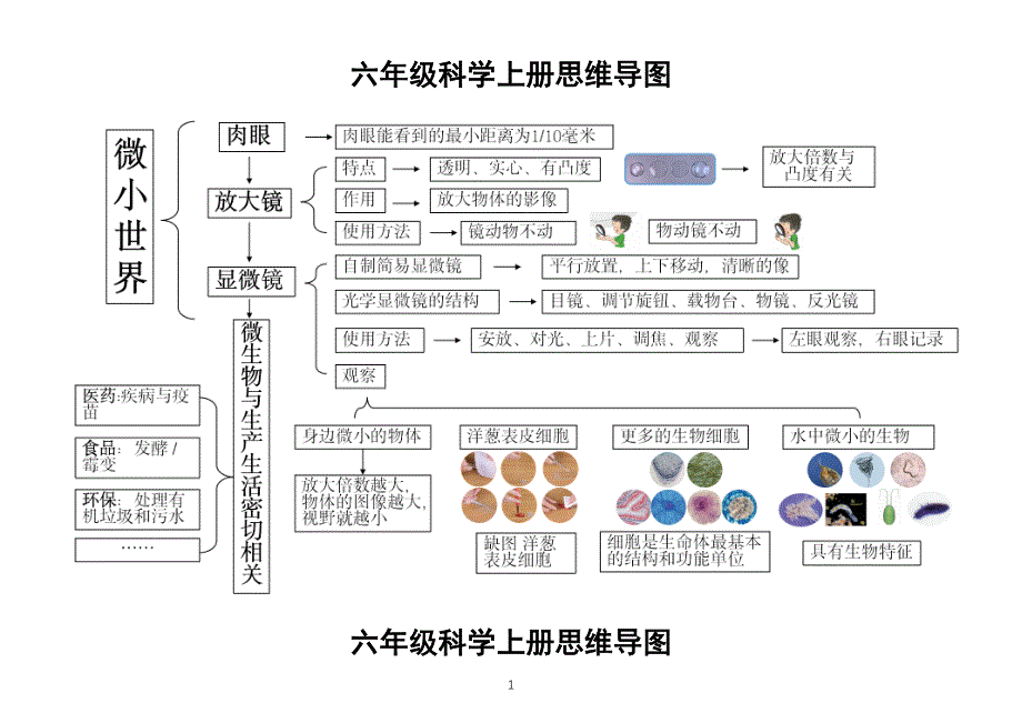 小学科学教科版六年级上册全册思维导图（2021新版）.docx_第1页