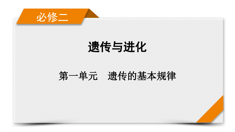 2022届高考生物（人教版）一轮总复习课件：素养提升课4 判断控制不同性状的等位基因的位置 .pptx_第1页