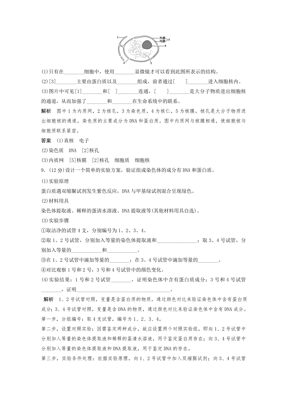 2013年高中生物（人教版）同步习题：3-3细胞核──系统的控制中心（必修1） WORD版含答案.doc_第3页