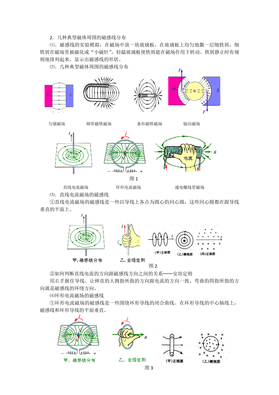 2012届高三物理第二轮复习学案：几种常见的磁场.doc_第2页