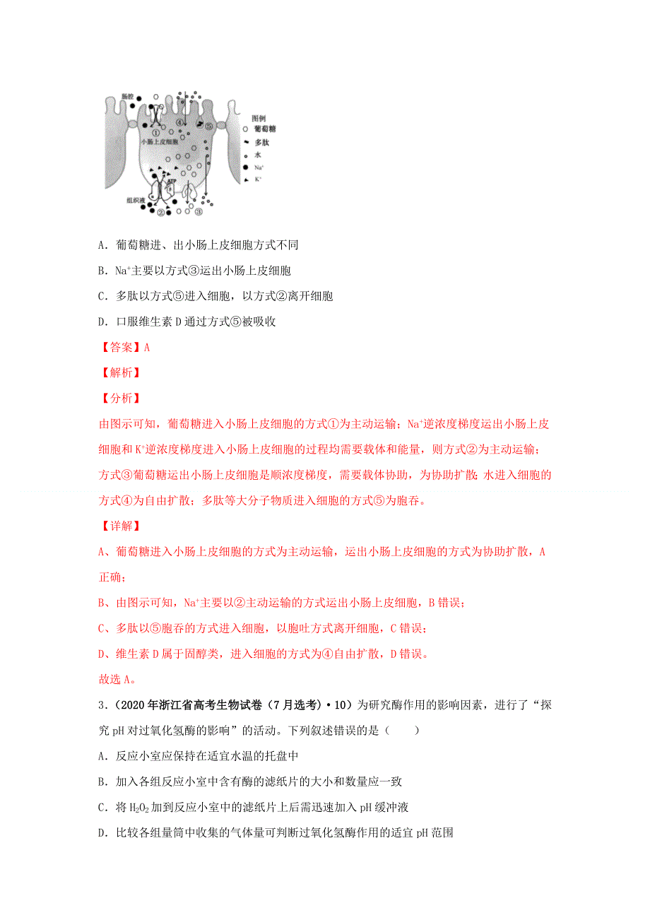 2020年高考生物真题模拟题专项汇编——02 物质进出细胞、酶和ATP（含解析）.doc_第2页