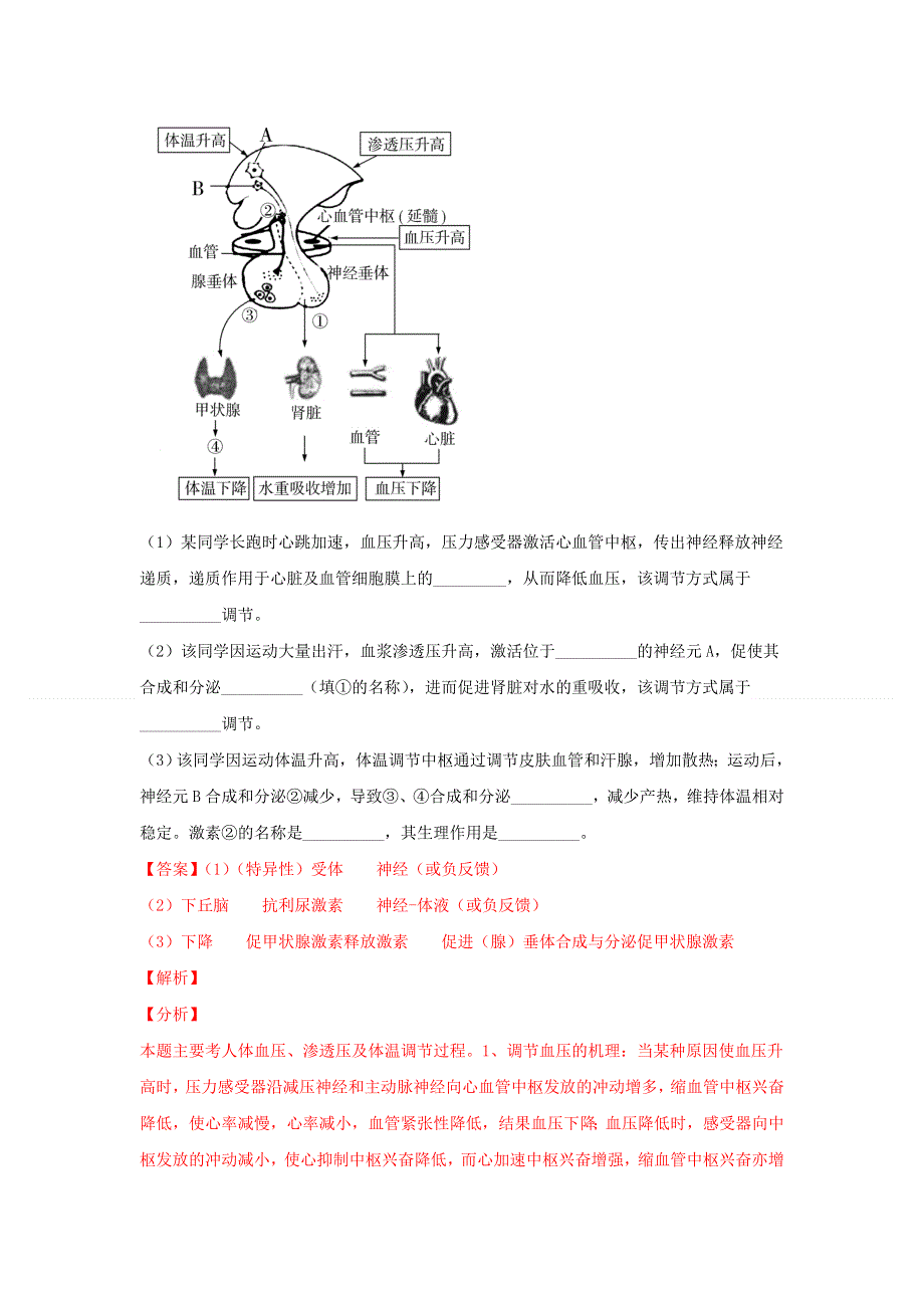 2020年高考生物真题模拟题专项汇编——13 内环境及其稳态（含解析）.doc_第2页