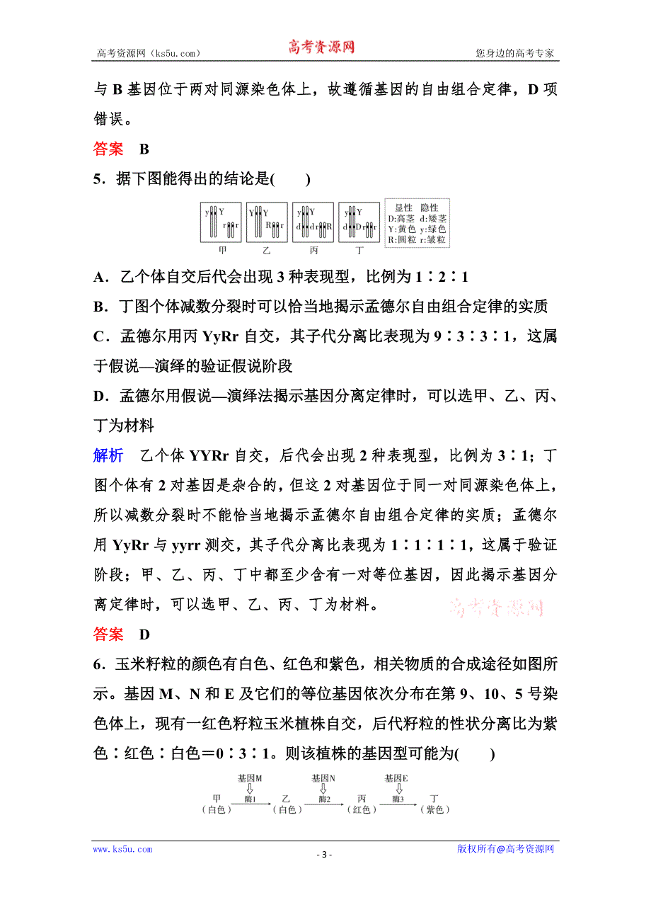 2020年高考生物（人教版）总复习练习：第五单元 第2讲 孟德尔的豌豆杂交实验（二） WORD版含解析.doc_第3页