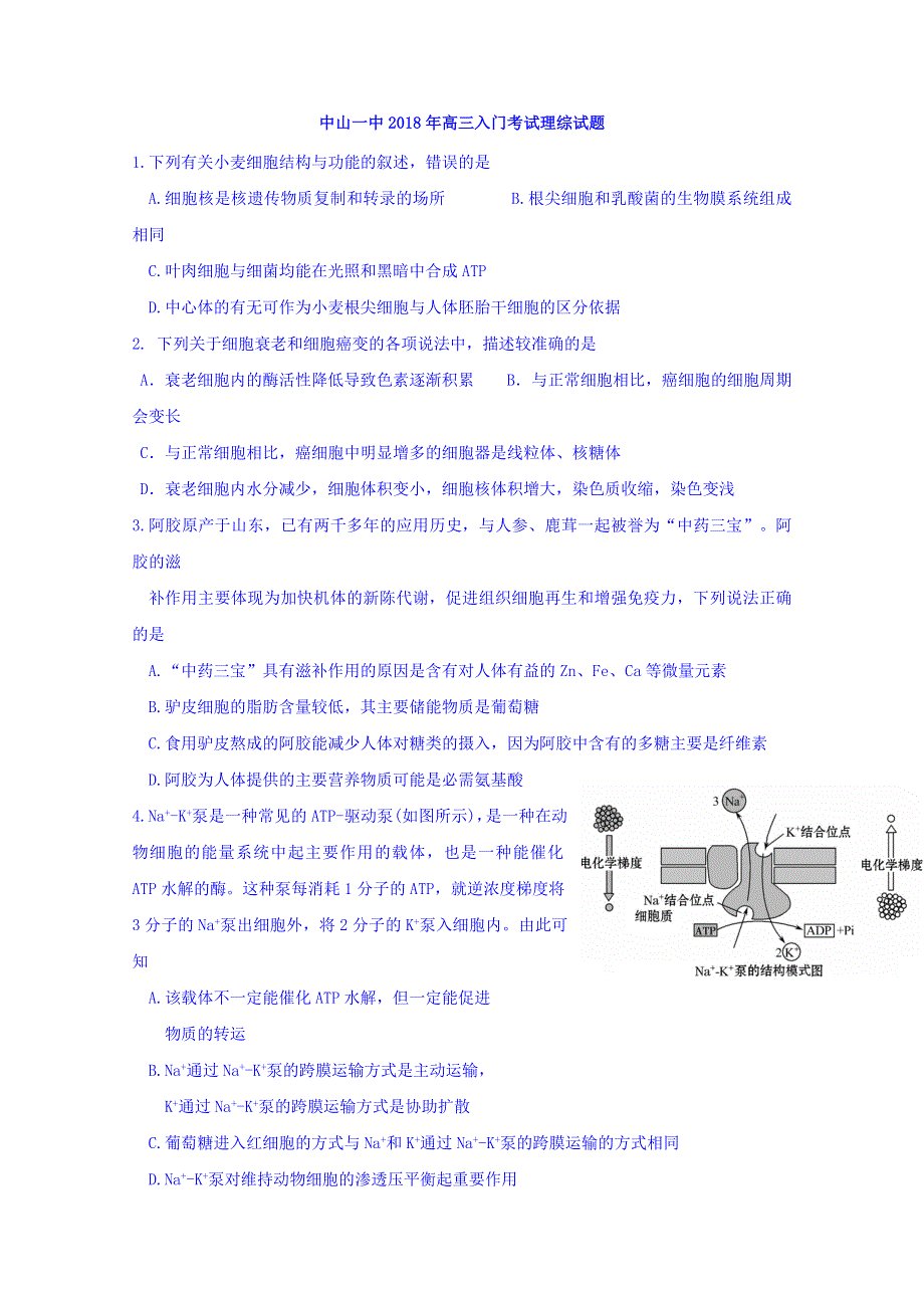 广东省中山市第一中学2019届高三入门考试理综生物试题 WORD版含答案.doc_第1页