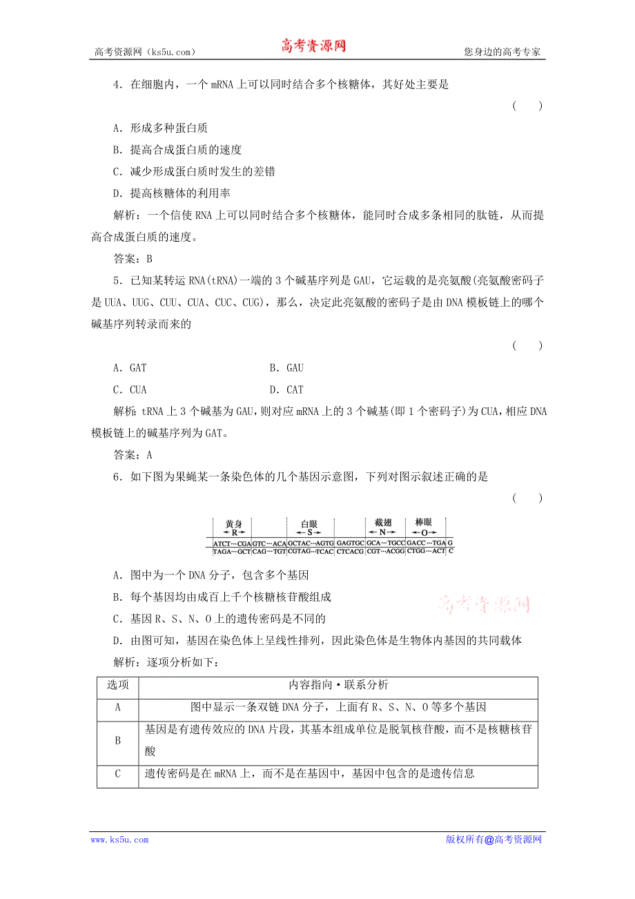 2012届高三生物一轮复习章节检测试题：4 基因的表达（新人教版必修2）.doc_第2页