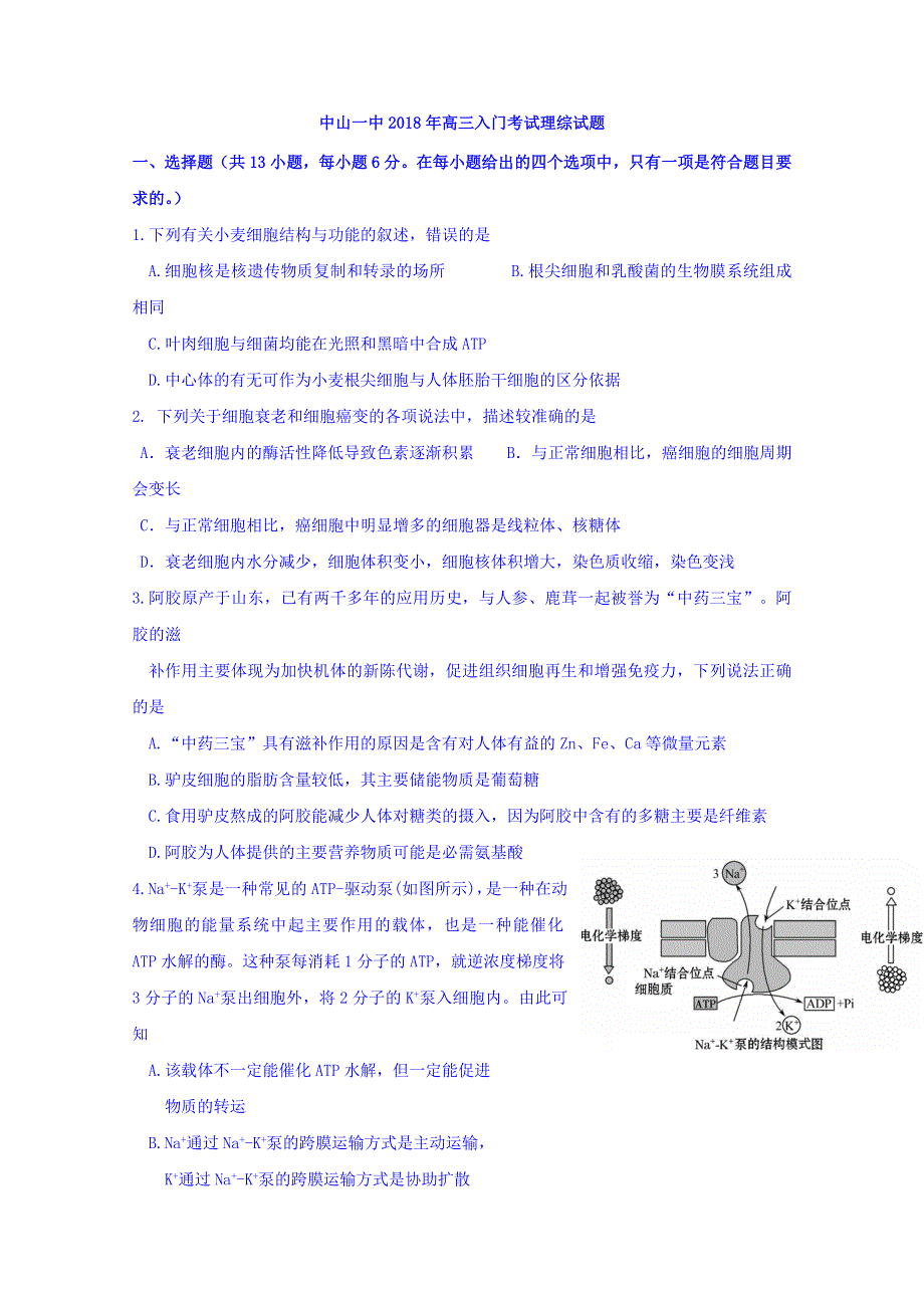 广东省中山市第一中学2019届高三入门考试理科综合试题 WORD版含答案.doc_第1页