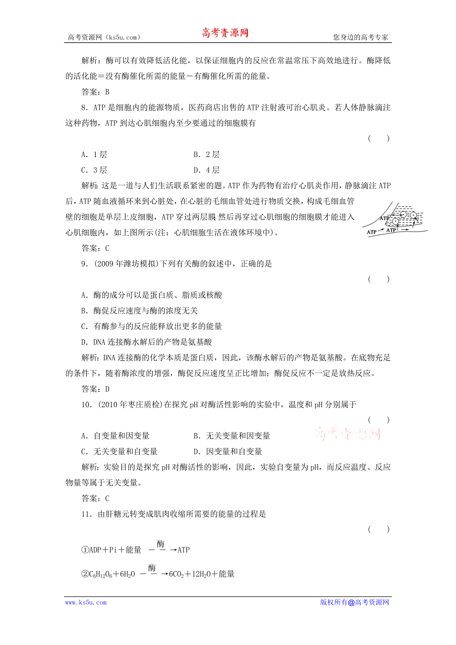 2012届高三生物一轮复习章节检测试题：5.1 5.2 酶和ATP（新人教版必修1）.doc_第3页