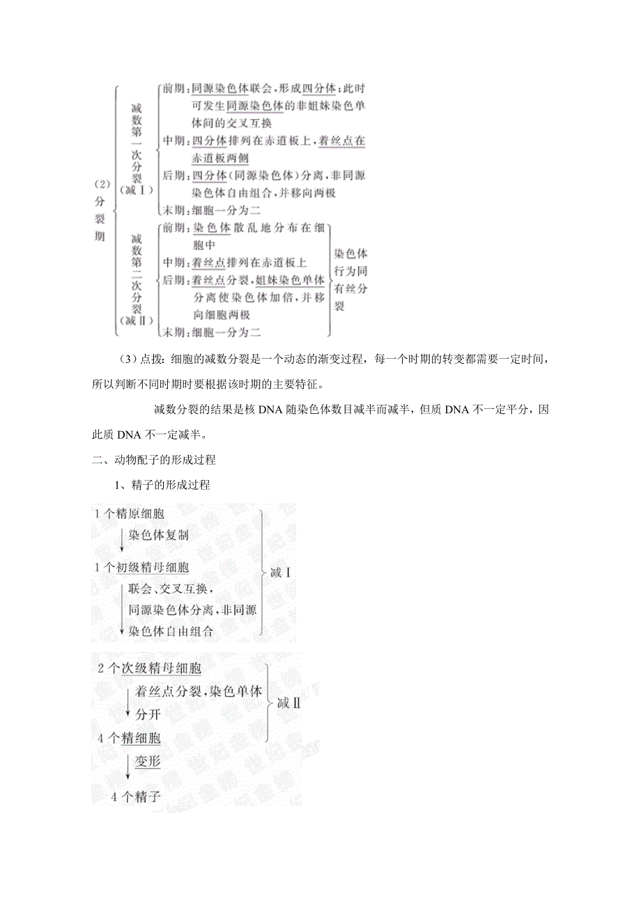 2012届高三生物一轮精品复习学案：2.1 减数分裂和受精作用(人教版必修2）.doc_第2页