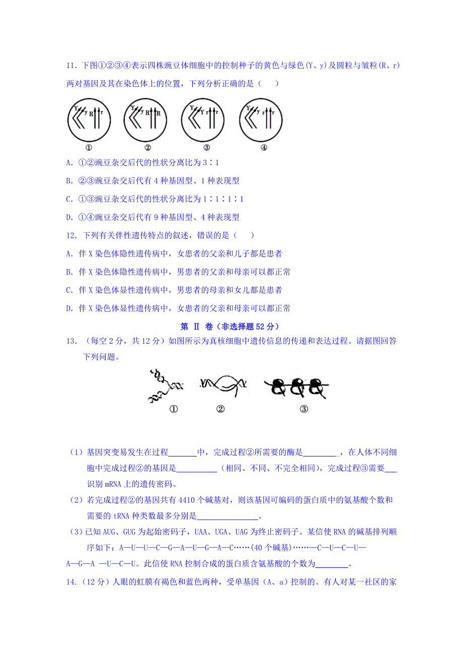 四川省棠湖中学2018-2019学年高一下学期第一次月考生物试题 WORD版含答案.doc_第3页