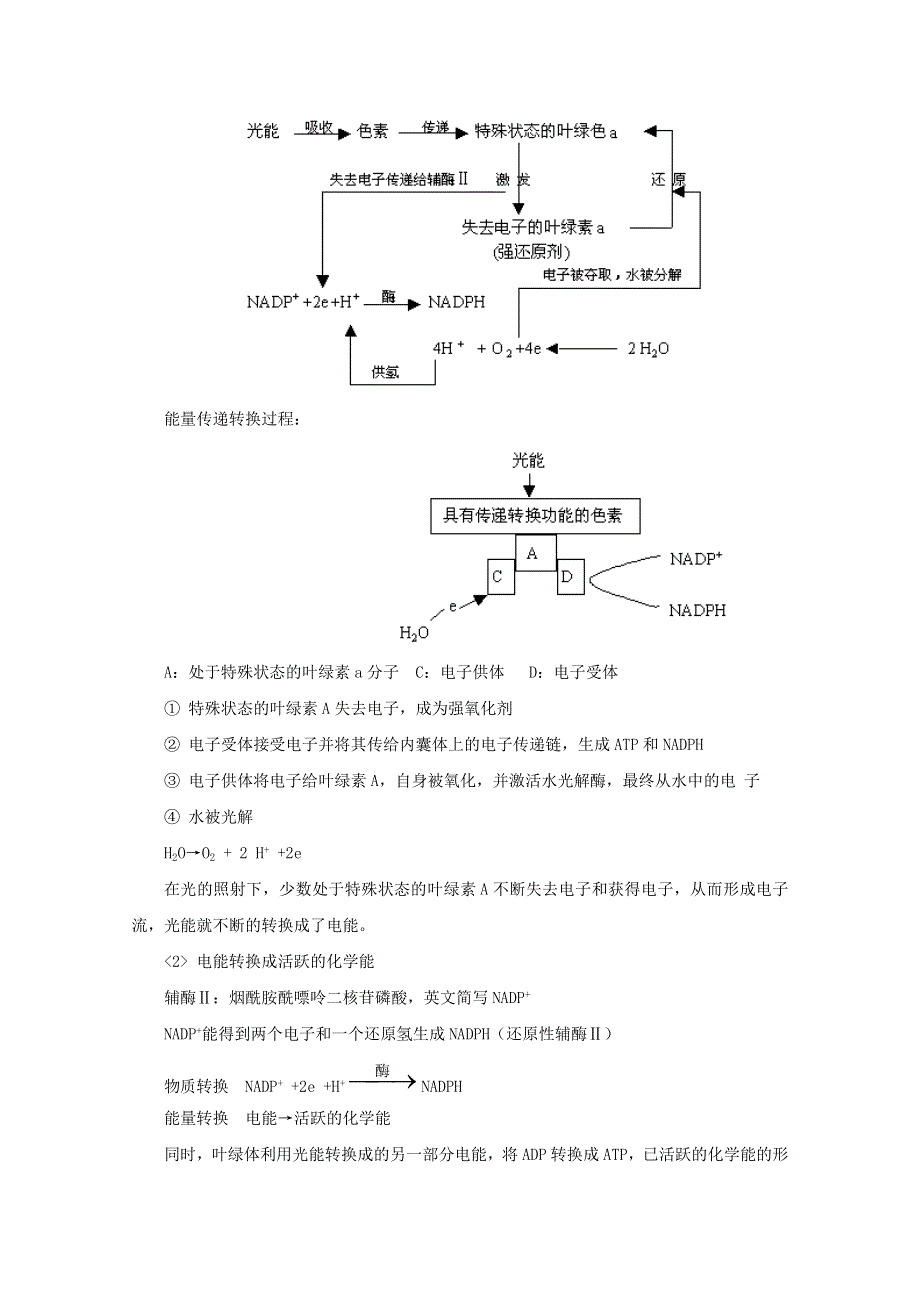 2012届高三生物专题复习学案：光合作用知识.doc_第3页