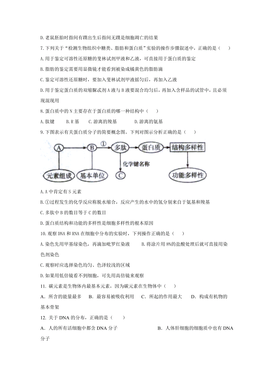 四川省棠湖中学2018-2019学年高一上学期期末考试生物试题 WORD版含答案.doc_第2页