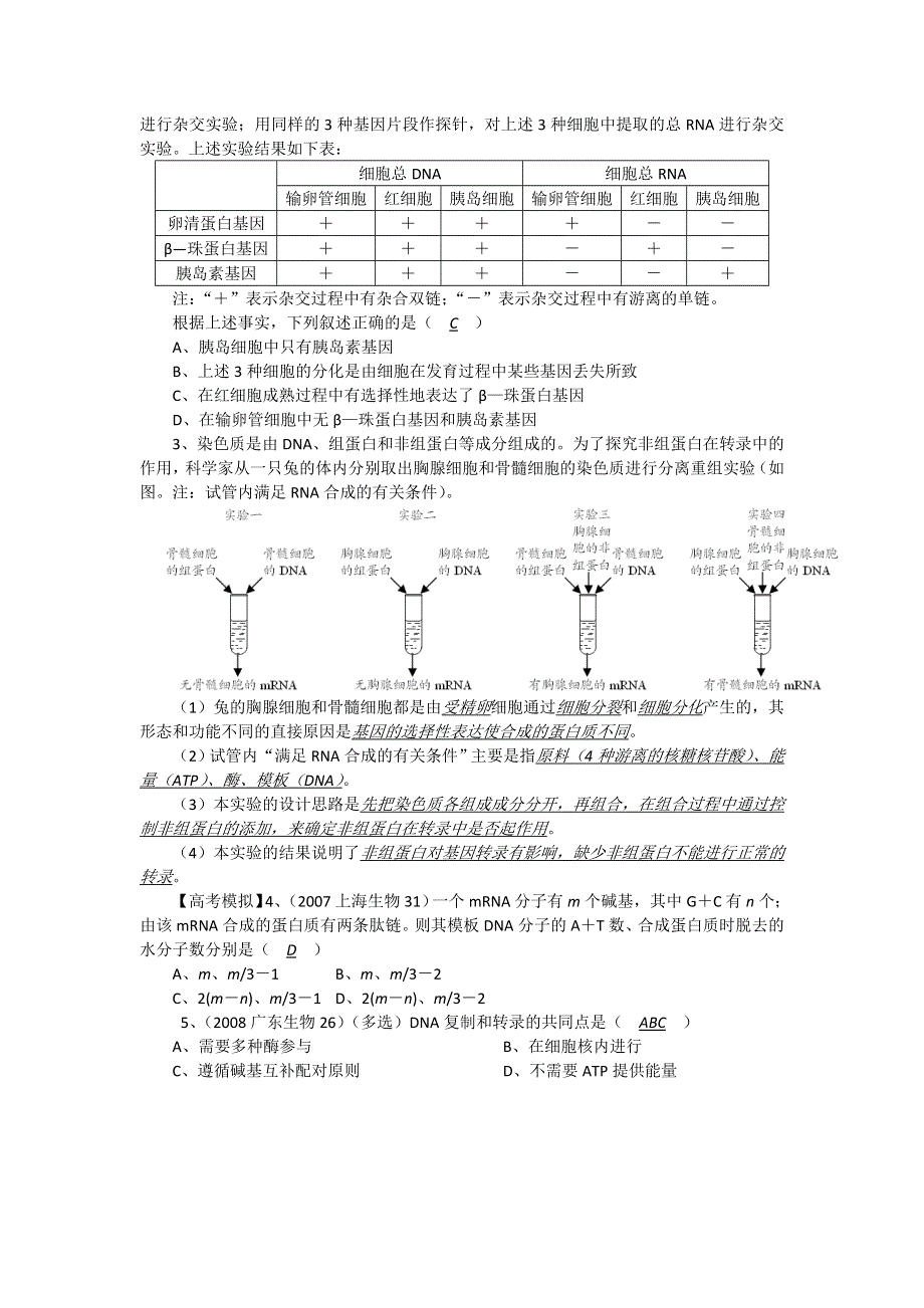 2012届高三生物中图版必修一同步讲练结合50：DNA复制、转录、翻译的比较.doc_第2页