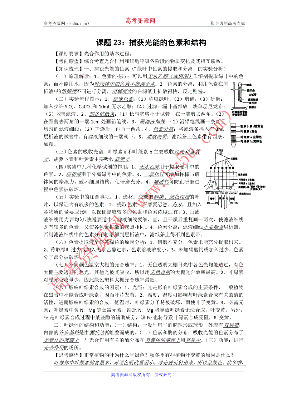 2012届高三生物中图版必修一同步讲练结合23：捕获光能的色素.doc_第1页