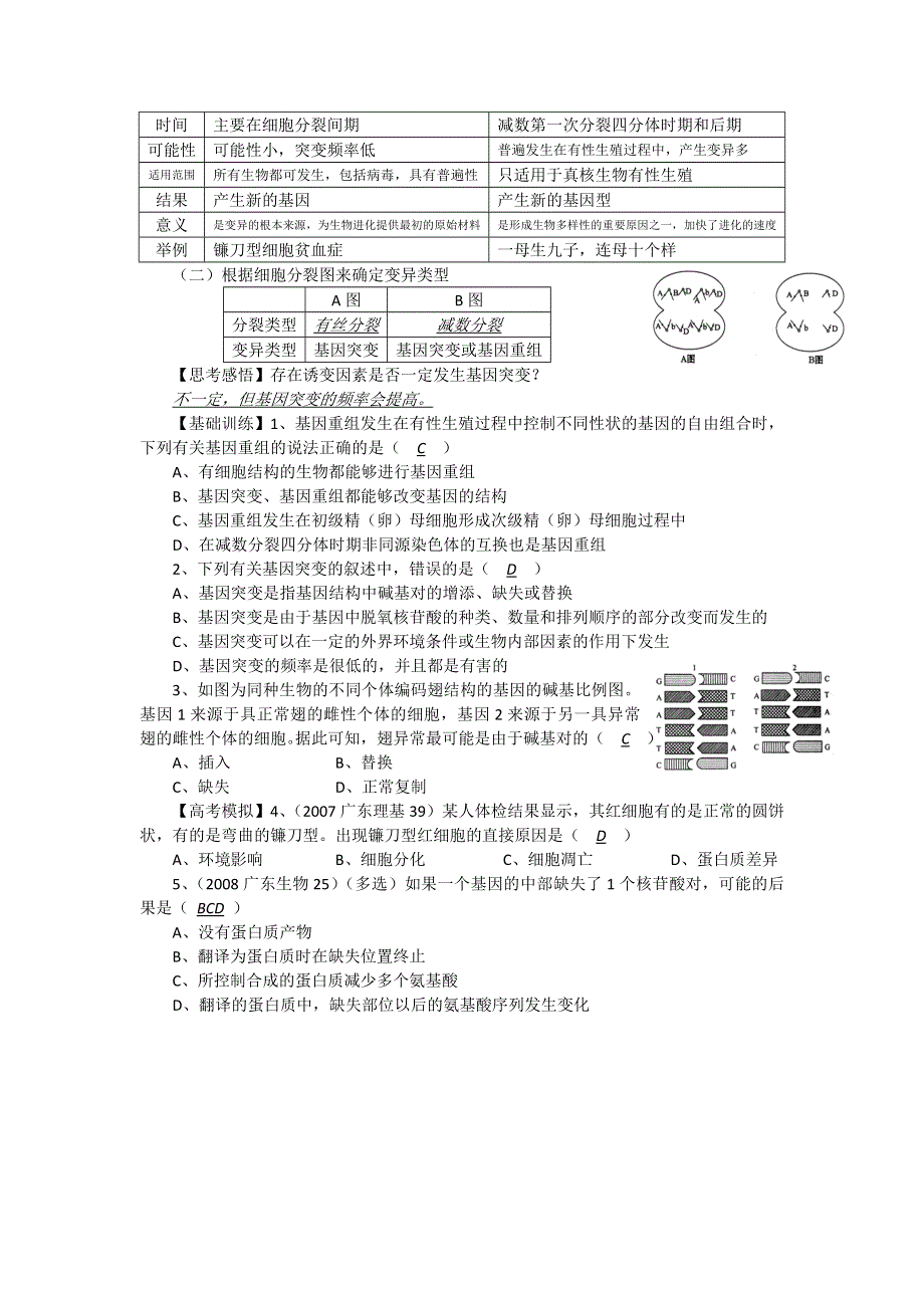 2012届高三生物中图版必修一同步讲练结合52：基因突变与基因重组.doc_第2页