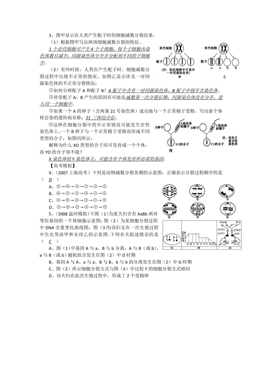 2012届高三生物中图版必修一同步讲练结合42：有丝分裂与减数分裂图像的判断.doc_第2页