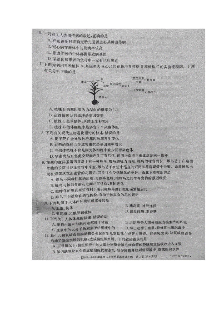 内蒙古乌兰察布集宁区2019-2020学年高二上学期期末考试生物试题 扫描版含答案.docx_第2页