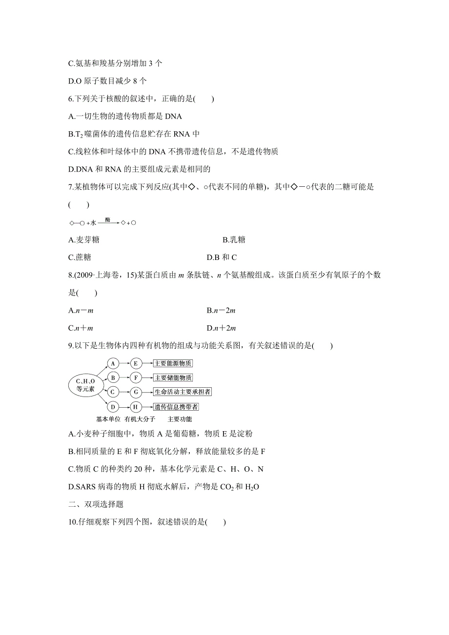 2012届高三考前生物知识专题训练 专练1 细胞的分子组成.doc_第2页