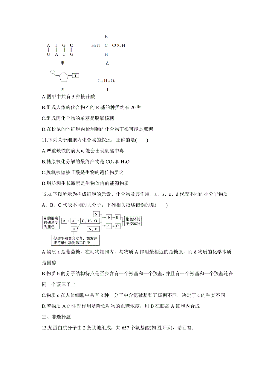 2012届高三考前生物知识专题训练 专练1 细胞的分子组成.doc_第3页