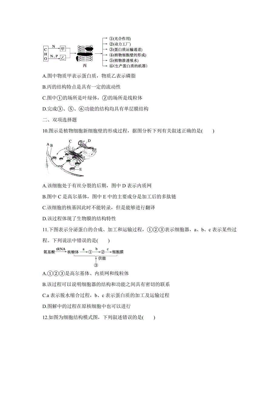 2012届高三考前生物知识专题训练2：细胞的基本结构.doc_第3页