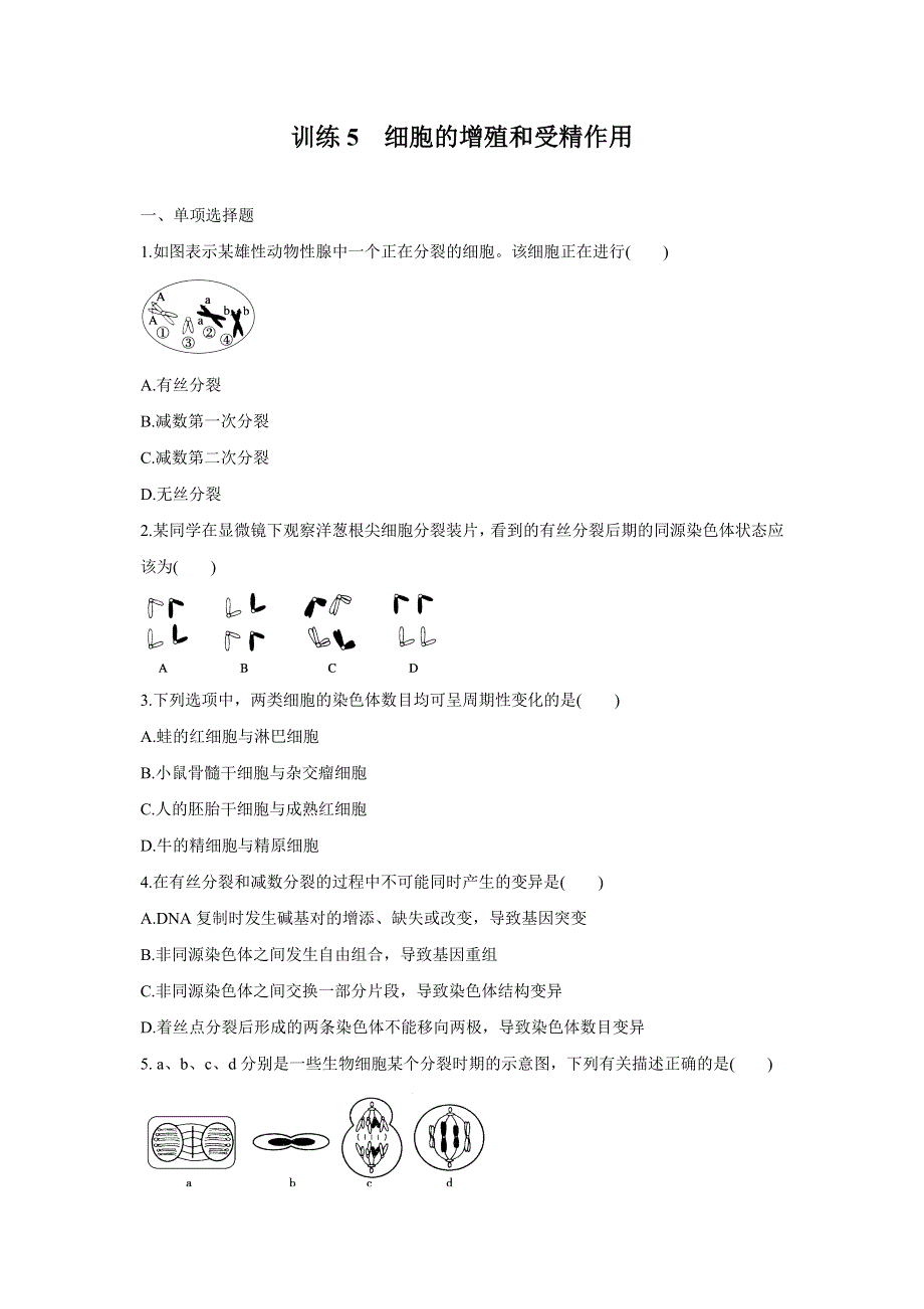 2012届高三考前生物知识专题训练5：细胞增殖和受精作用.doc_第1页