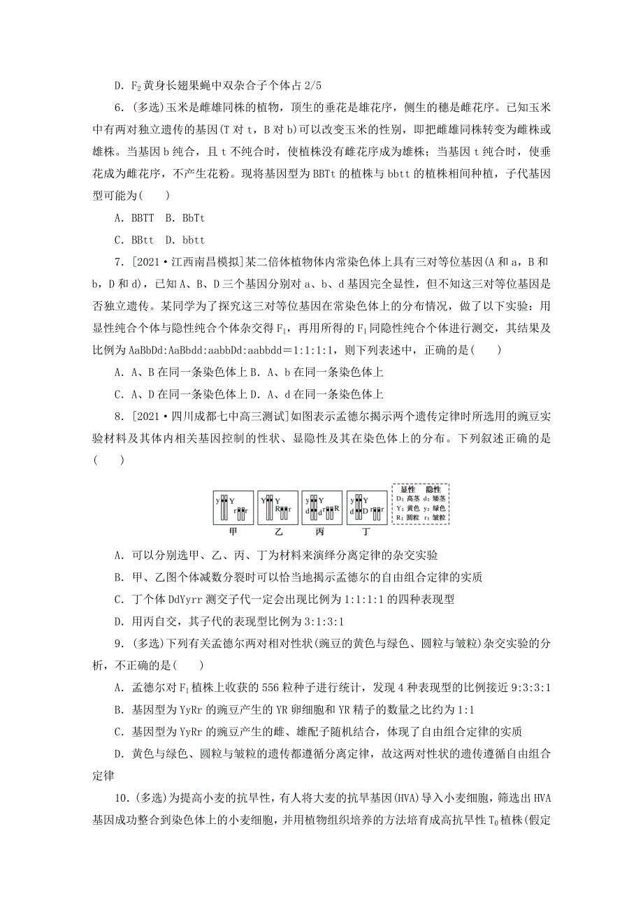 2022届新教材高考生物一轮复习 课后检测18 孟德尔的豌豆杂交实验（二）（2）（含解析）.doc_第2页