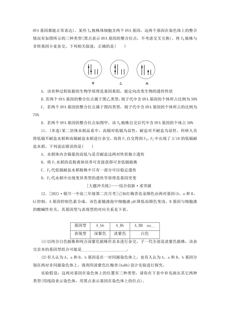 2022届新教材高考生物一轮复习 课后检测18 孟德尔的豌豆杂交实验（二）（2）（含解析）.doc_第3页