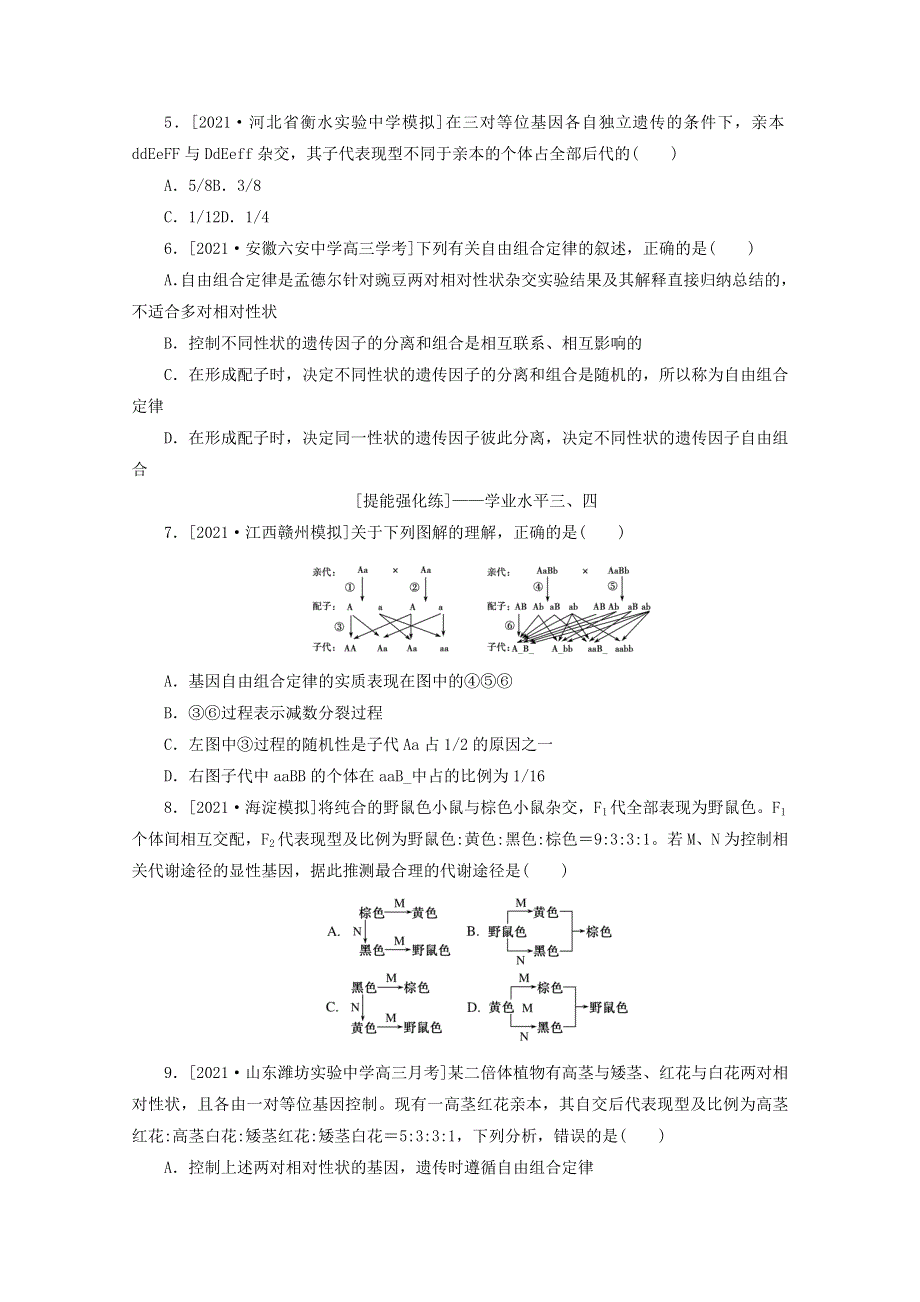 2022届新教材高考生物一轮复习 课后检测17 孟德尔的豌豆杂交实验（二）（1）（含解析）.doc_第2页